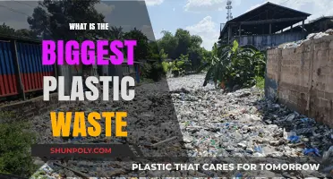 Plastic's Dark Side: The Worst Offenders