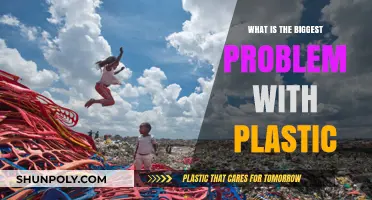 Plastic's Dark Side: The Problem of Permanence
