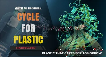 Biochemical Plastic Cycle: A Sustainable Future