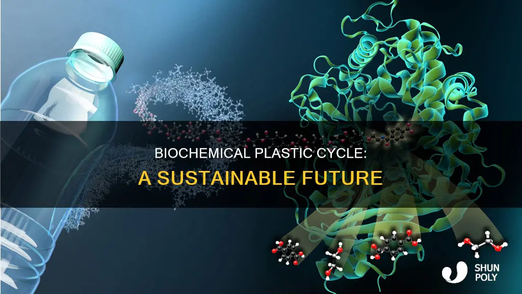 what is the biochemical cycle for plastic