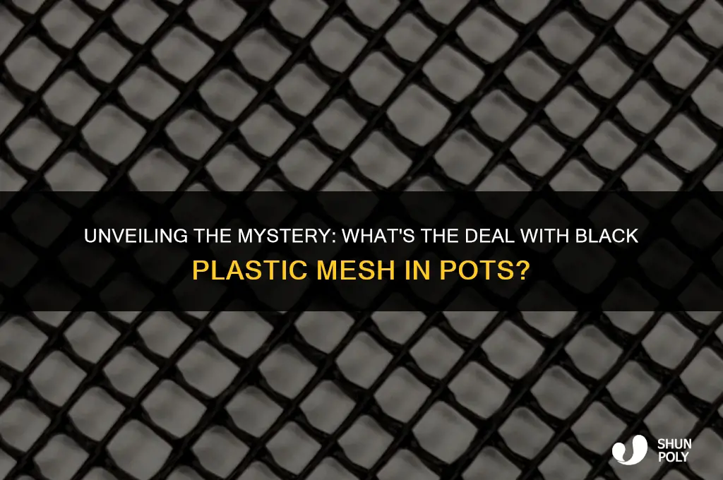 what is the black plastic mesh inside pot