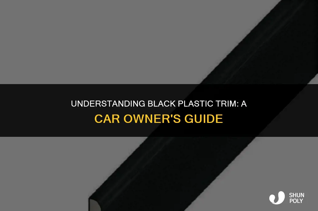 what is the black plastic trim outside under car doors