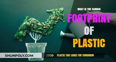 Plastic's Carbon Footprint: A Climate Change Culprit