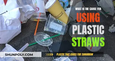 Unveiling the Reasons Behind Our Reliance on Plastic Straws