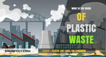 Plastic Pollution: Understanding the Root Cause