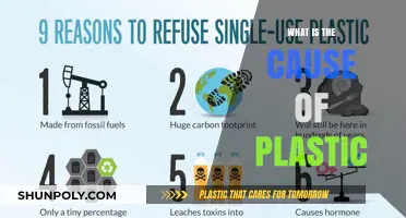 The Plastic Problem: Understanding Its Causes