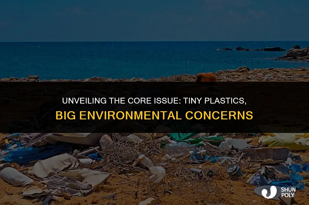 what is the central idea of tiny plastic big problem