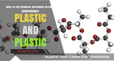 Unveiling the Molecular Secrets: Biodegradable vs. Traditional Plastics