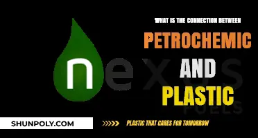 Unveiling the Petrochemical-Plastic Nexus: A Comprehensive Overview