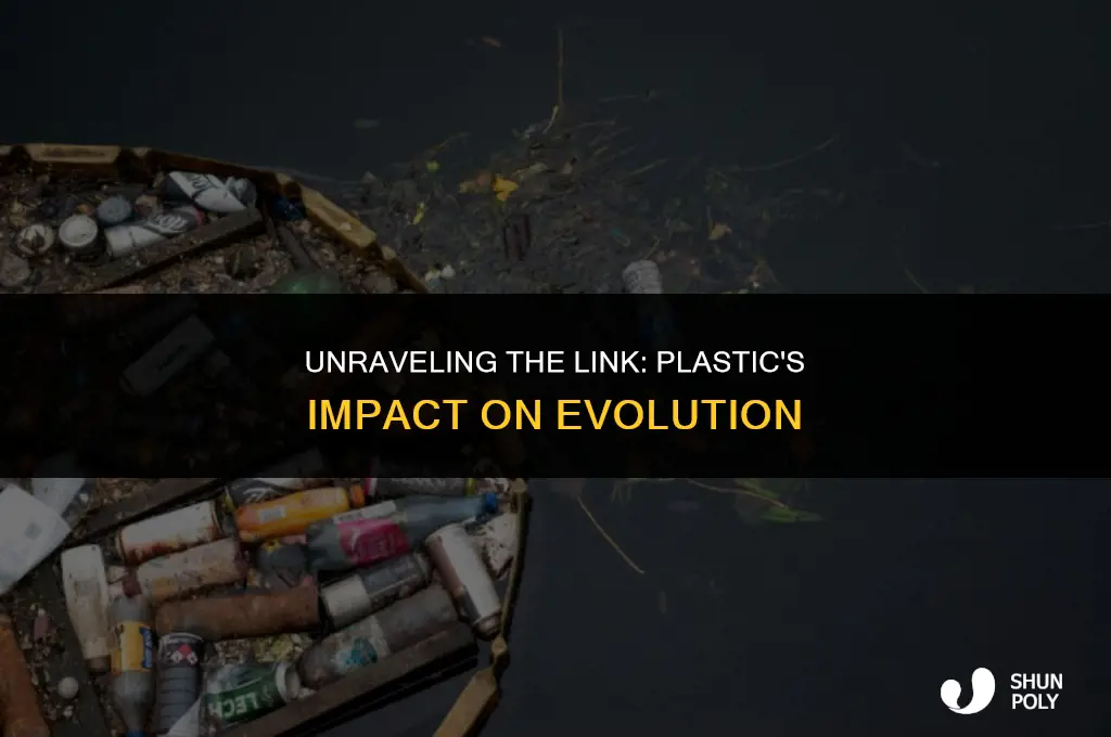 what is the connection between plastic and evolution