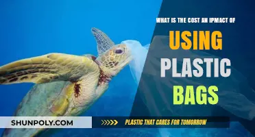 The Hidden Costs and Environmental Impact of Plastic Bags