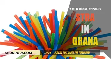 The Hidden Price of Convenience: Plastic Straws in Ghana