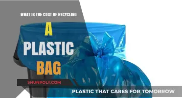 The Hidden Cost of Recycling Plastic Bags: A Comprehensive Analysis