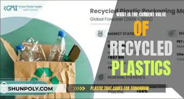 Exploring the Worth of Recycled Plastics in Today's Economy