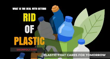 Breaking Free from Plastic: Unveiling the Truth Behind Elimination Efforts