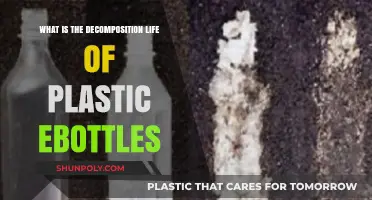 Unraveling the Environmental Impact: Plastic E-Bottles' Decomposition Journey