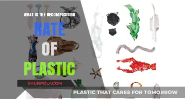 Plastic Decomposition: Understanding the Rate and its Impact
