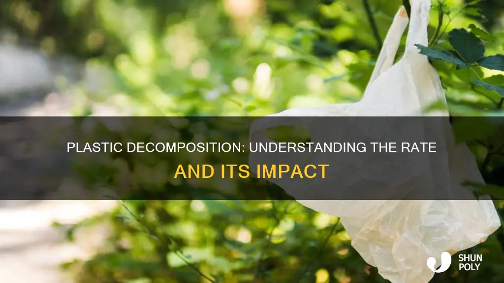 what is the decomposition rate of plastic
