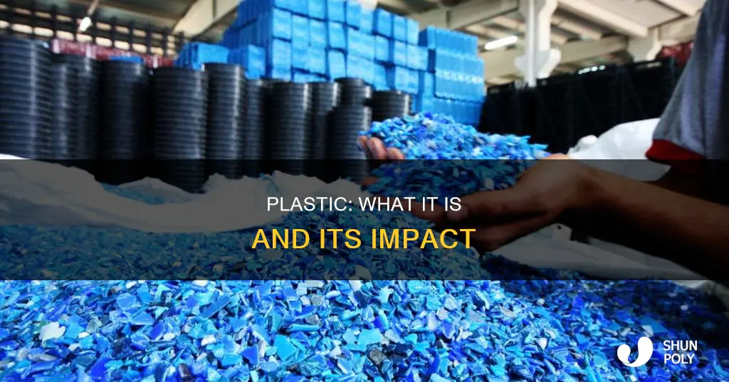 what is the definitin of plastic