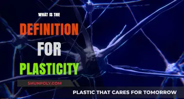 Understanding Plasticity: Brain's Ability to Change and Adapt
