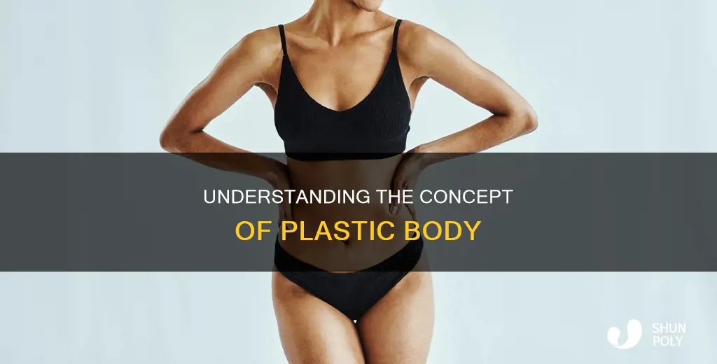 what is the definition of plastic body