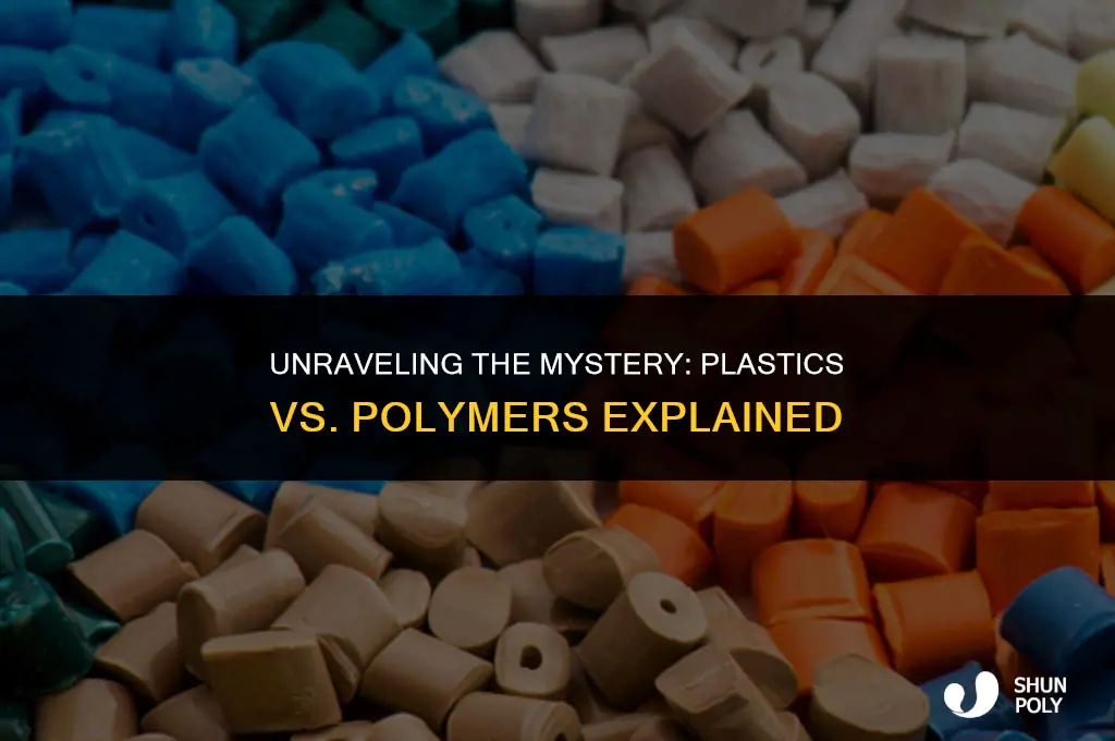 what is the difference between a plastic and a polymer