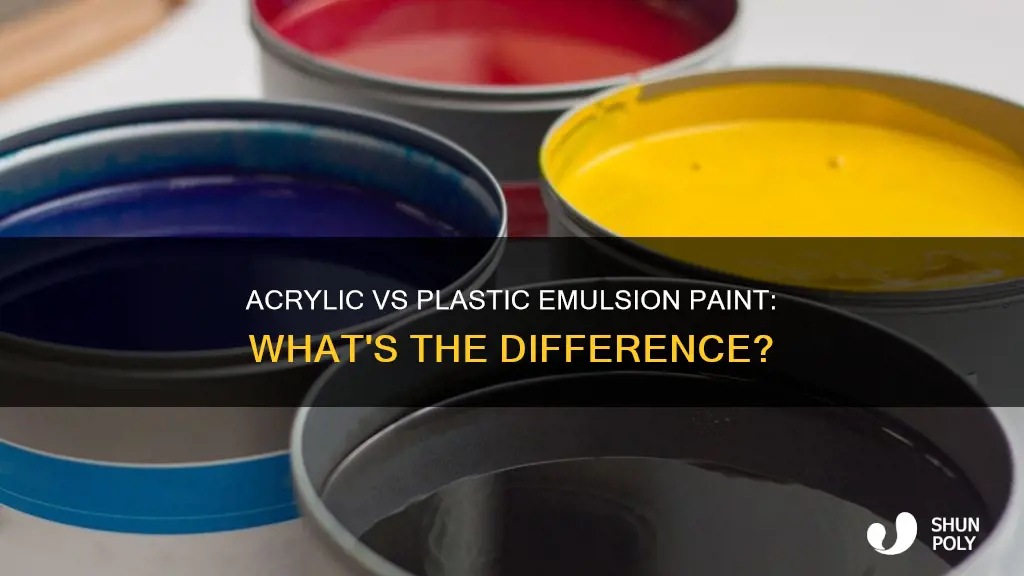 what is the difference between acrylic and plastic emulsion paint