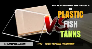 Exploring the Depths: Acrylic vs. Plastic Fish Tanks