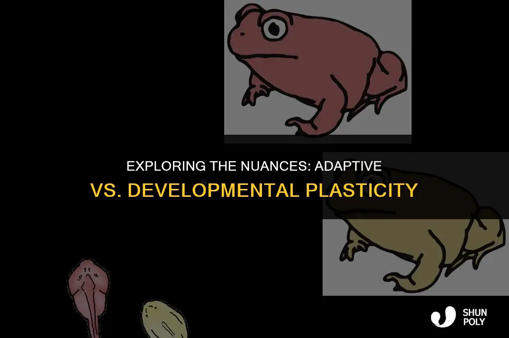 what is the difference between adaptive and developmental plasticity