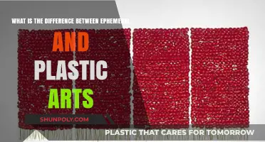 Exploring the Fleeting Nature of Ephemeral vs. Plastic Arts