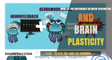 Unraveling the Mysteries: Epigenetics vs. Brain Plasticity Explained