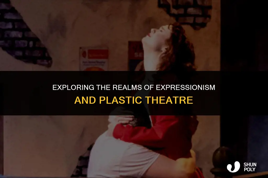 what is the difference between expressionism and plastic theatre
