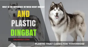 Exploring the Durability Debate: Husky vs. Plastic Dingbats