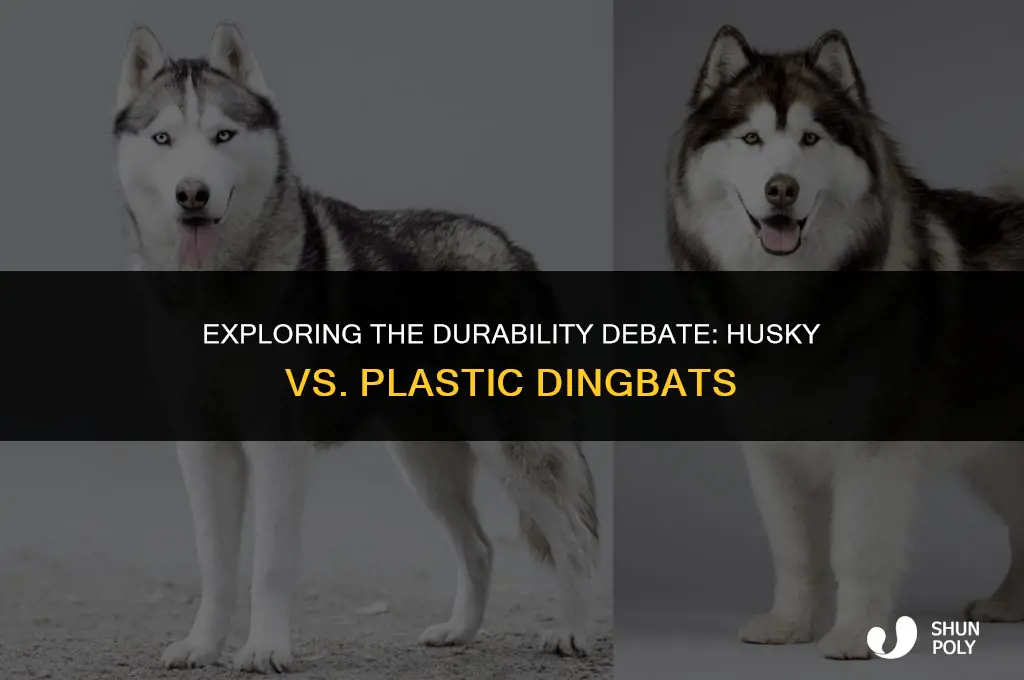 what is the difference between husky dingbat and plastic dingbat