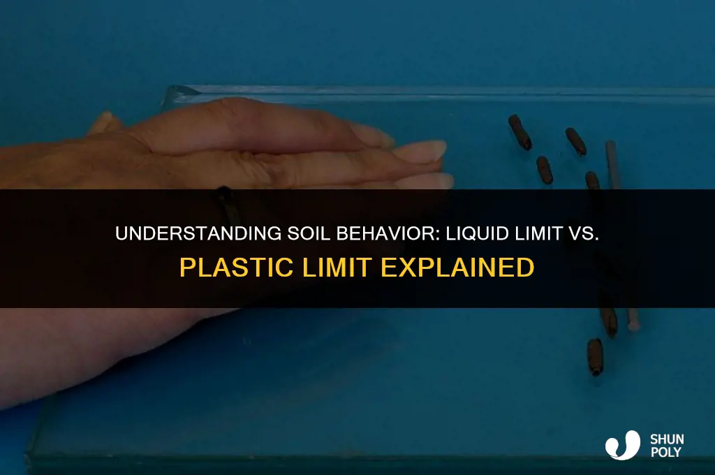 what is the difference between liquid limit and plastic limit