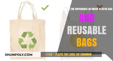 Plastic vs. Reusable Bags: Key Differences and Environmental Impact