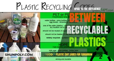 Understanding the Complex World of Recyclable Plastics