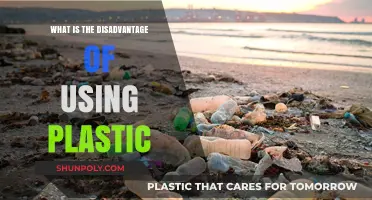 The Hidden Costs: Unveiling the Downsides of Plastic Use