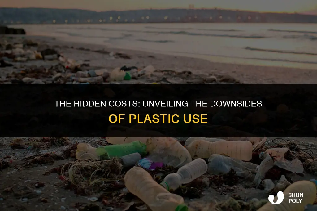 what is the disadvantage of using plastic