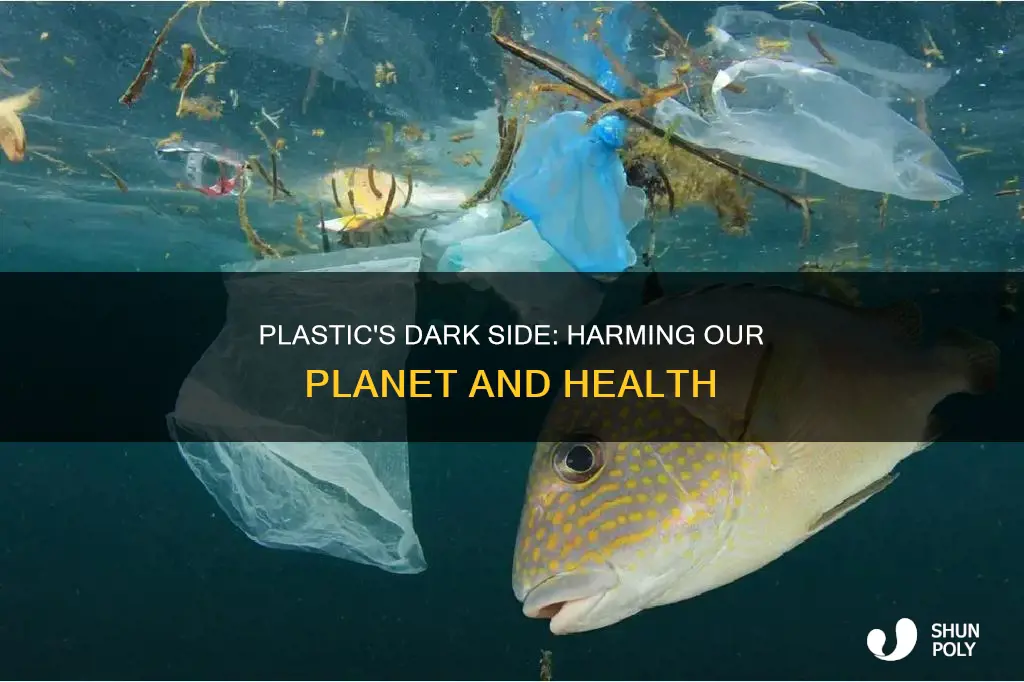 what is the disadvantages of plastic
