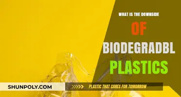 Biodegradable Plastics: The Dark Side of Eco-Friendly Solutions