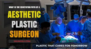 Becoming an Aesthetic Plastic Surgeon: Education and Training Path