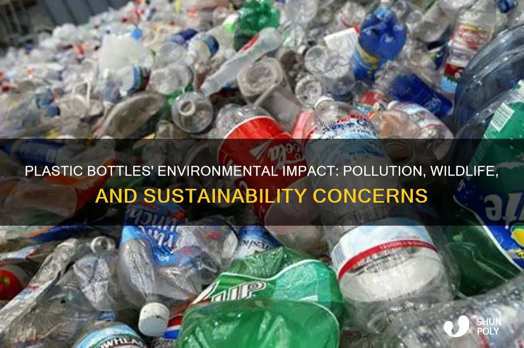what is the effect of plastic bottles on th eenvironment