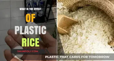 Plastic Rice: A Health Hazard and Environmental Disaster