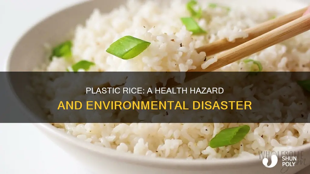 what is the effect of plastic rice