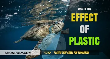 Plastic's Impact: Devastating Effects on Our Planet