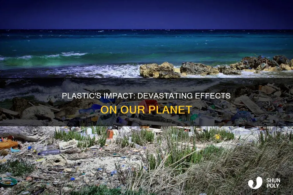 what is the effect of plastic