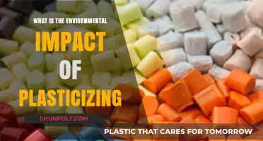 The Dark Side of Plasticizing: Environmental Impact Revealed
