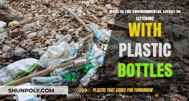 Plastic Bottle Litter: Devastating Environmental Impacts and Sustainable Solutions
