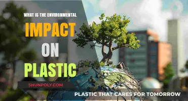 Plastic's Impact: Environmental Devastation and Solutions